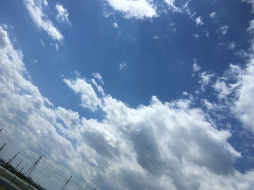 b0125295_08482304.jpg