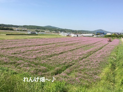 f0372998_22330769.jpg
