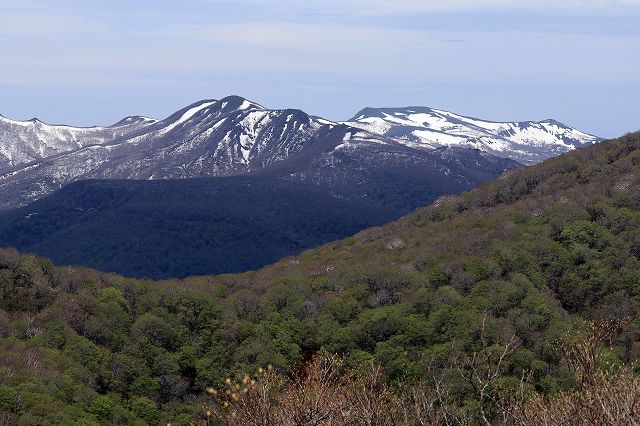 e0137200_0122298.jpg