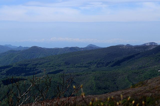 e0137200_0123239.jpg