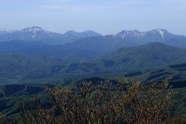 e0137200_0124418.jpg
