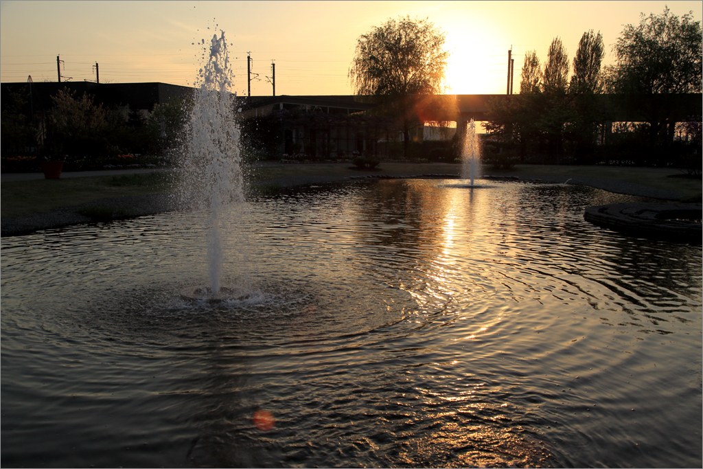 d0353401_1275356.jpg
