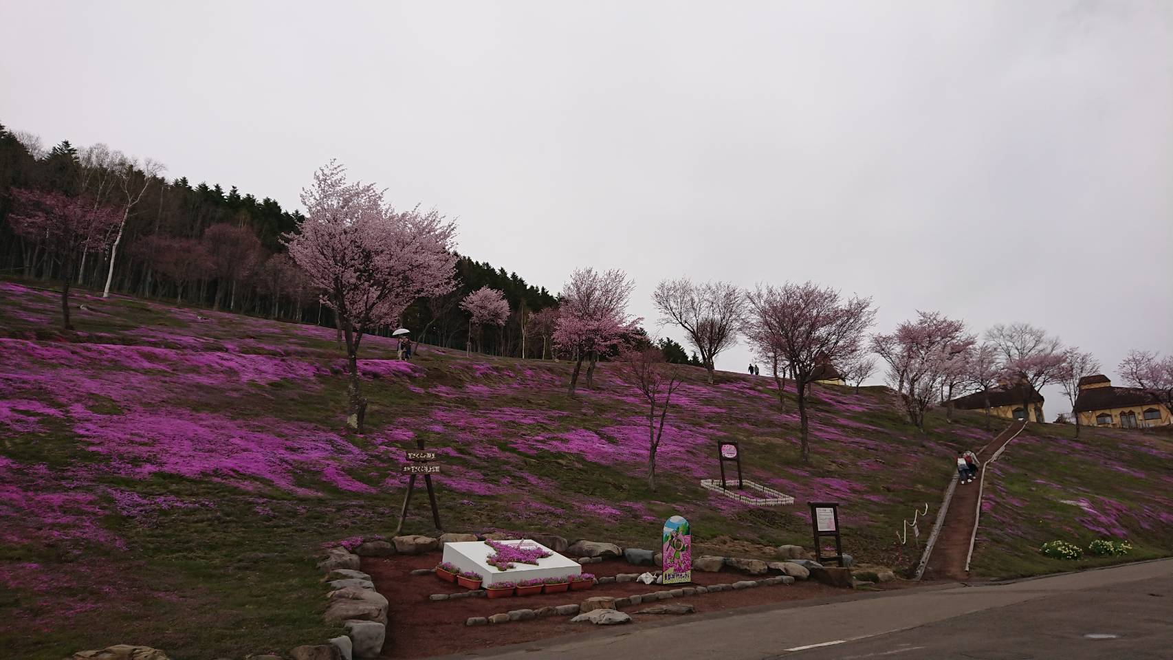 b0127002_16452890.jpg