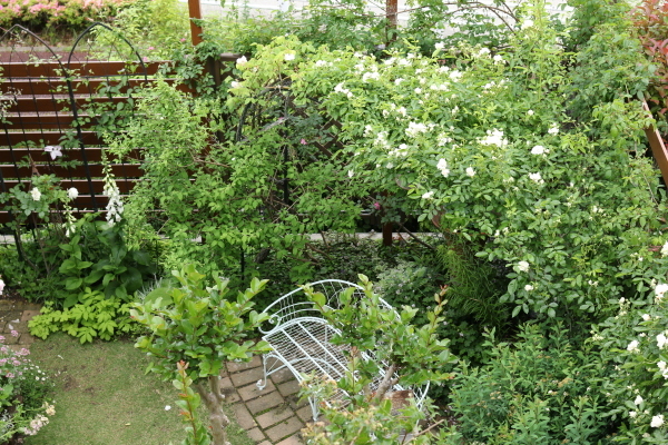 a0123003_09280825.jpg