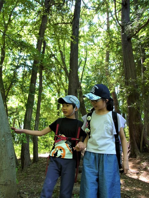 e0147206_203440.jpg