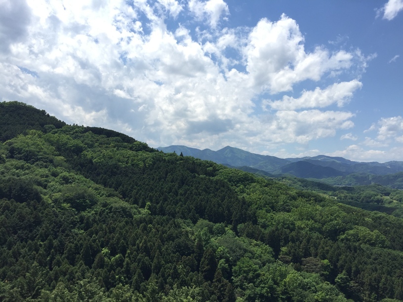 e0118908_21421685.jpg