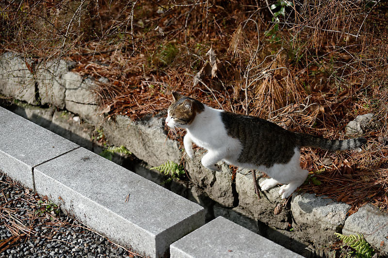 f0032011_20403794.jpg