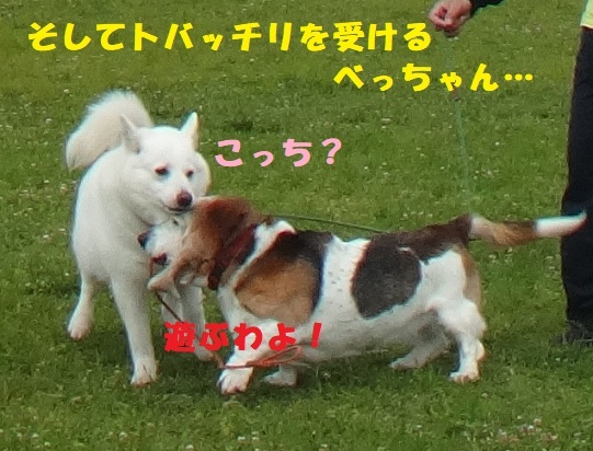 f0121712_01091412.jpg