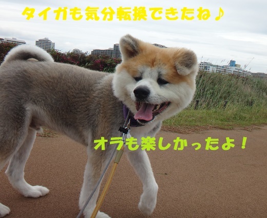 f0121712_01225518.jpg