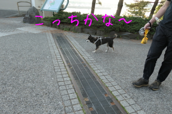 f0369014_11042750.jpg