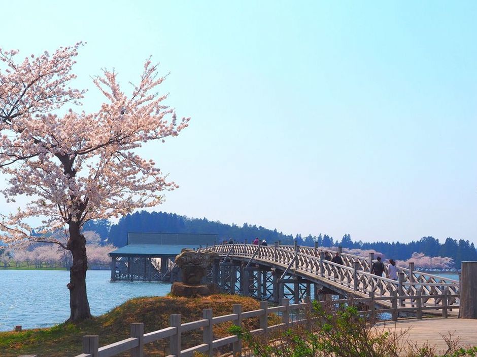 いよいよ津軽富士見湖に到着！「鶴の舞橋」の昼の姿を・・・２０１８東北一人旅シリーズ（その７）_a0031821_11142193.jpg