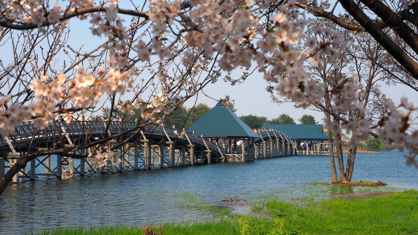 いよいよ津軽富士見湖に到着！「鶴の舞橋」の昼の姿を・・・２０１８東北一人旅シリーズ（その７）_a0031821_11142212.jpg