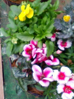 c0074721_15281578.jpg