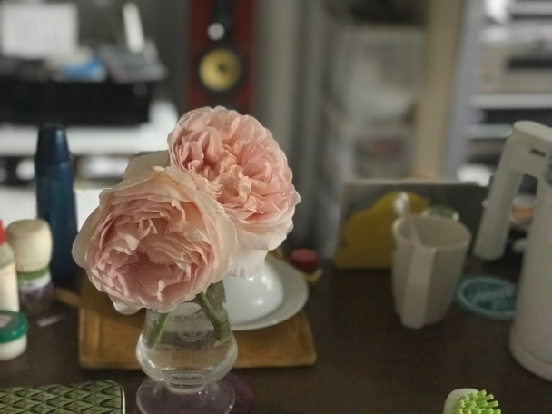 c0156021_13493944.jpg