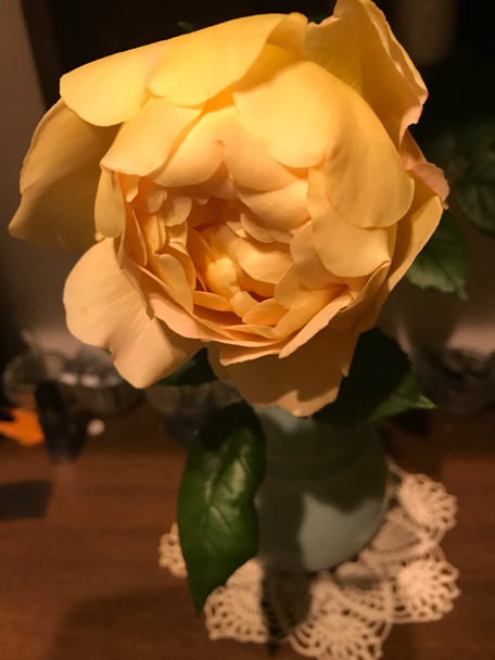 c0156021_13594004.jpg