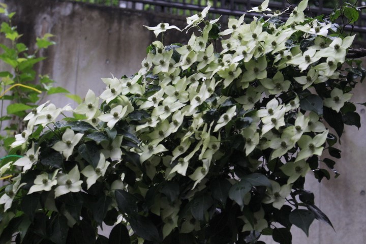 f0354923_23444543.jpg