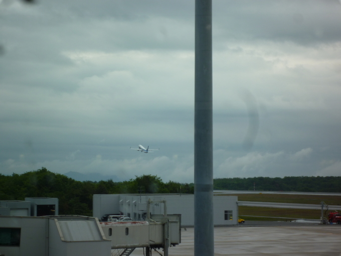 d0334331_21352453.jpg