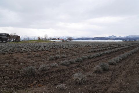 b0042334_23514965.jpg