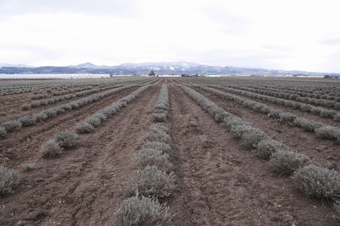 b0042334_23515588.jpg