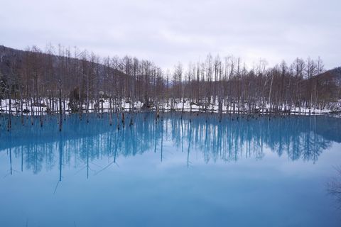 b0042334_2352523.jpg