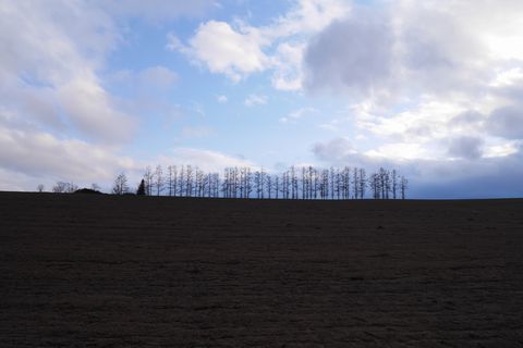 b0042334_23545514.jpg