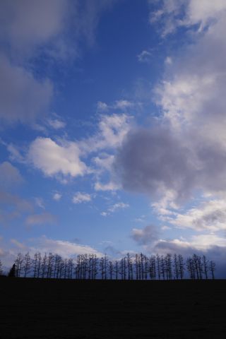 b0042334_2355396.jpg