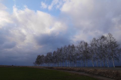 b0042334_2355592.jpg