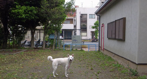a0117039_00261693.jpg