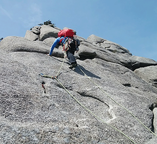 e0371039_15224370.gif