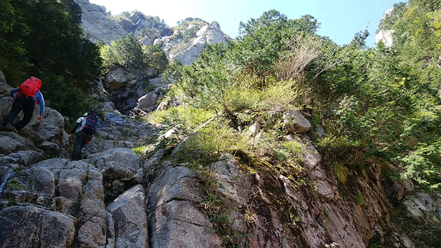 e0371039_15243043.gif