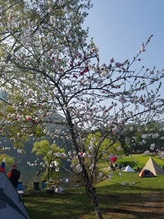 b0080342_11064453.jpg