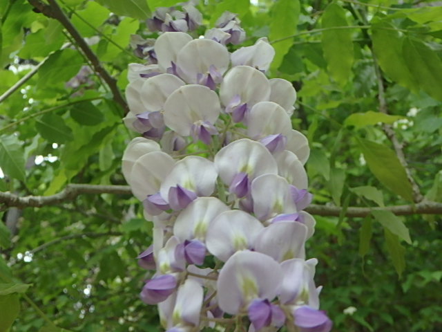 f0334143_1919228.jpg