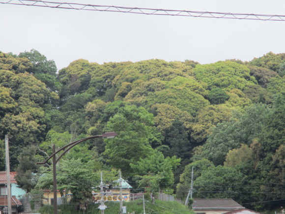 e0206847_10055865.jpg