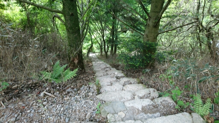 b0148050_21231301.jpg
