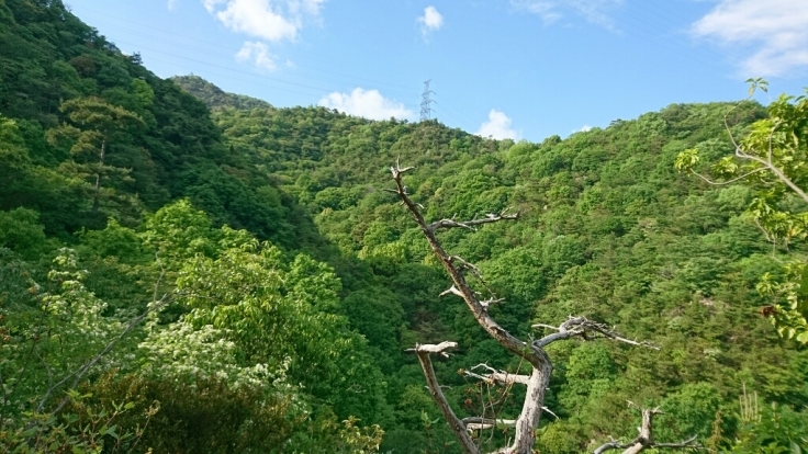 b0148050_21231572.jpg