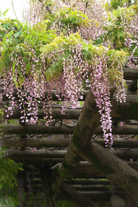 d0342652_1342010.jpg