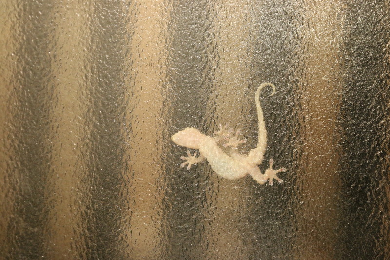 c0074553_22160684.jpg