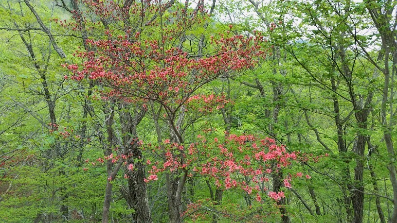 b0335256_12452147.jpg