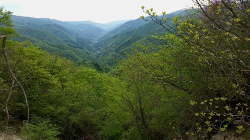 b0335256_23091891.jpg