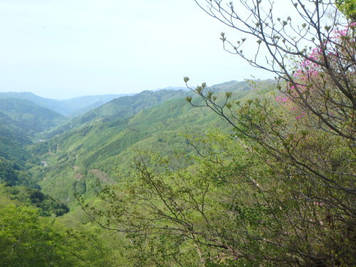 b0335256_23094966.jpg