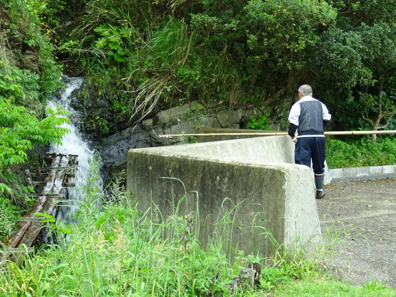 「巨木伐採技術の共同研修会」・・・うみべの森_c0108460_17500788.jpg