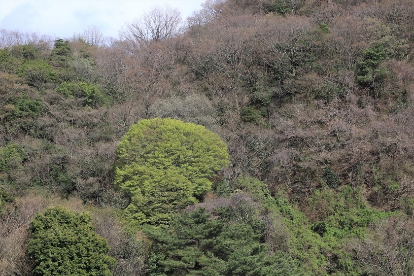 4月１８日　７年ぶりの再会_c0260463_14553632.jpg