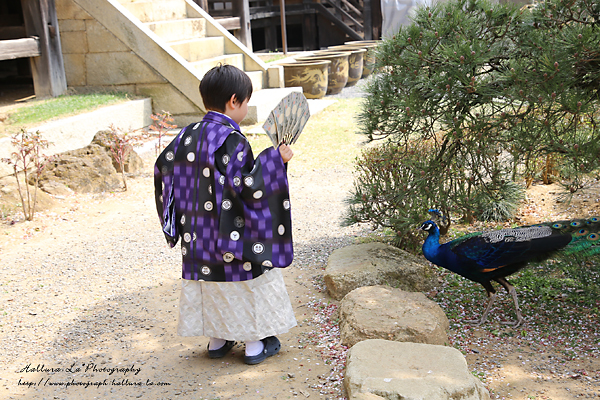 七五三撮影☆雨引観音へ出張撮影　【茨城県】_d0333667_20320499.jpg