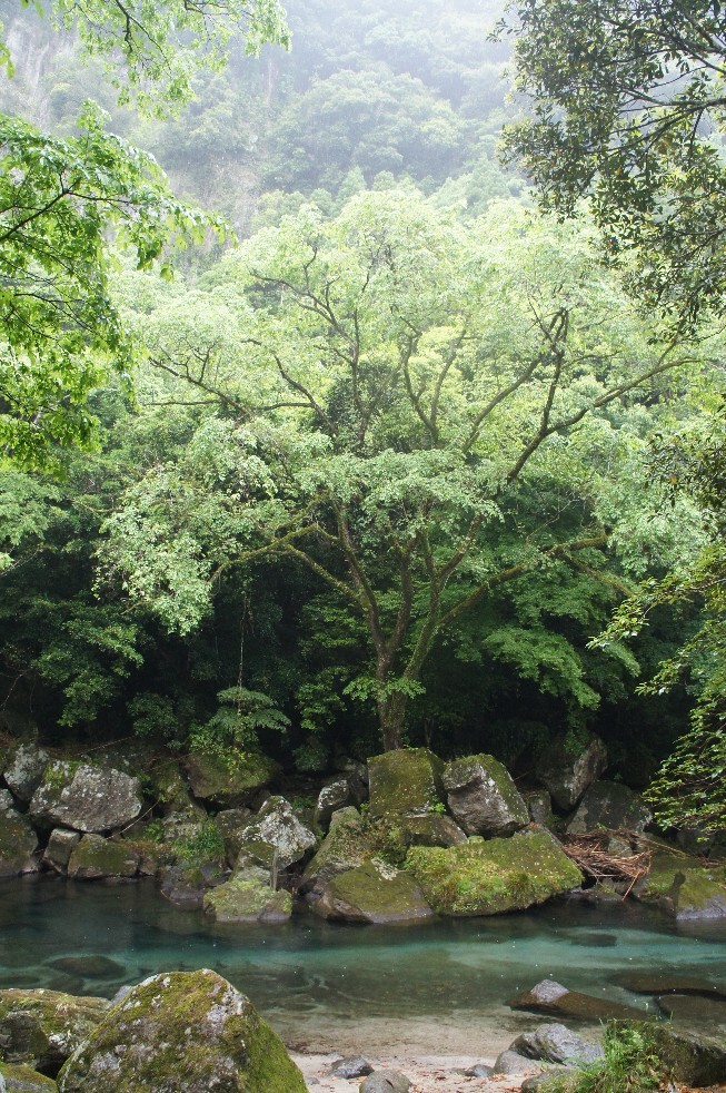 b0116271_20413123.jpg