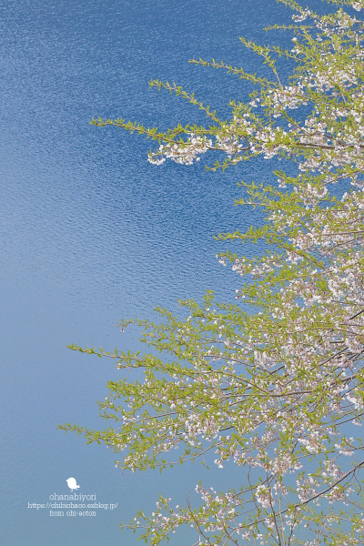 c0319774_20001456.jpg