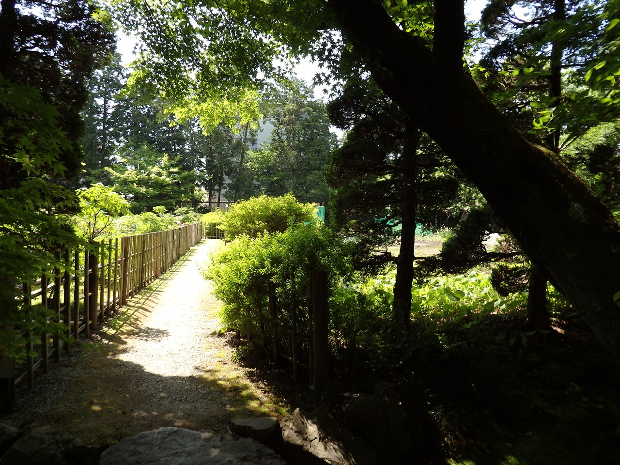 d0054276_20171416.jpg