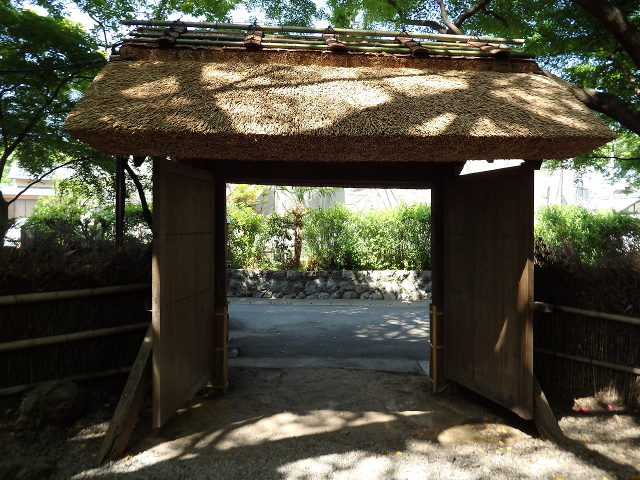 d0054276_2020877.jpg