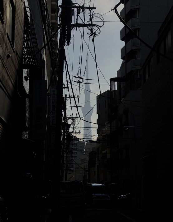 f0105276_12595686.jpeg