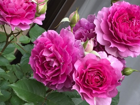 a0053480_07001865.jpg