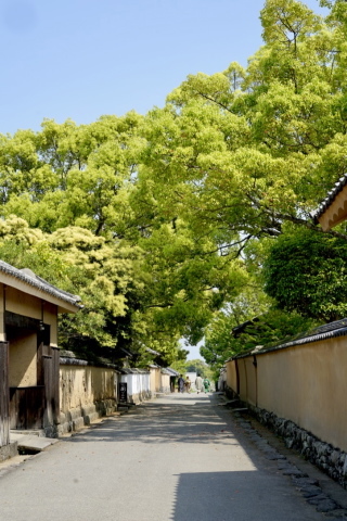a0198883_19491952.jpg